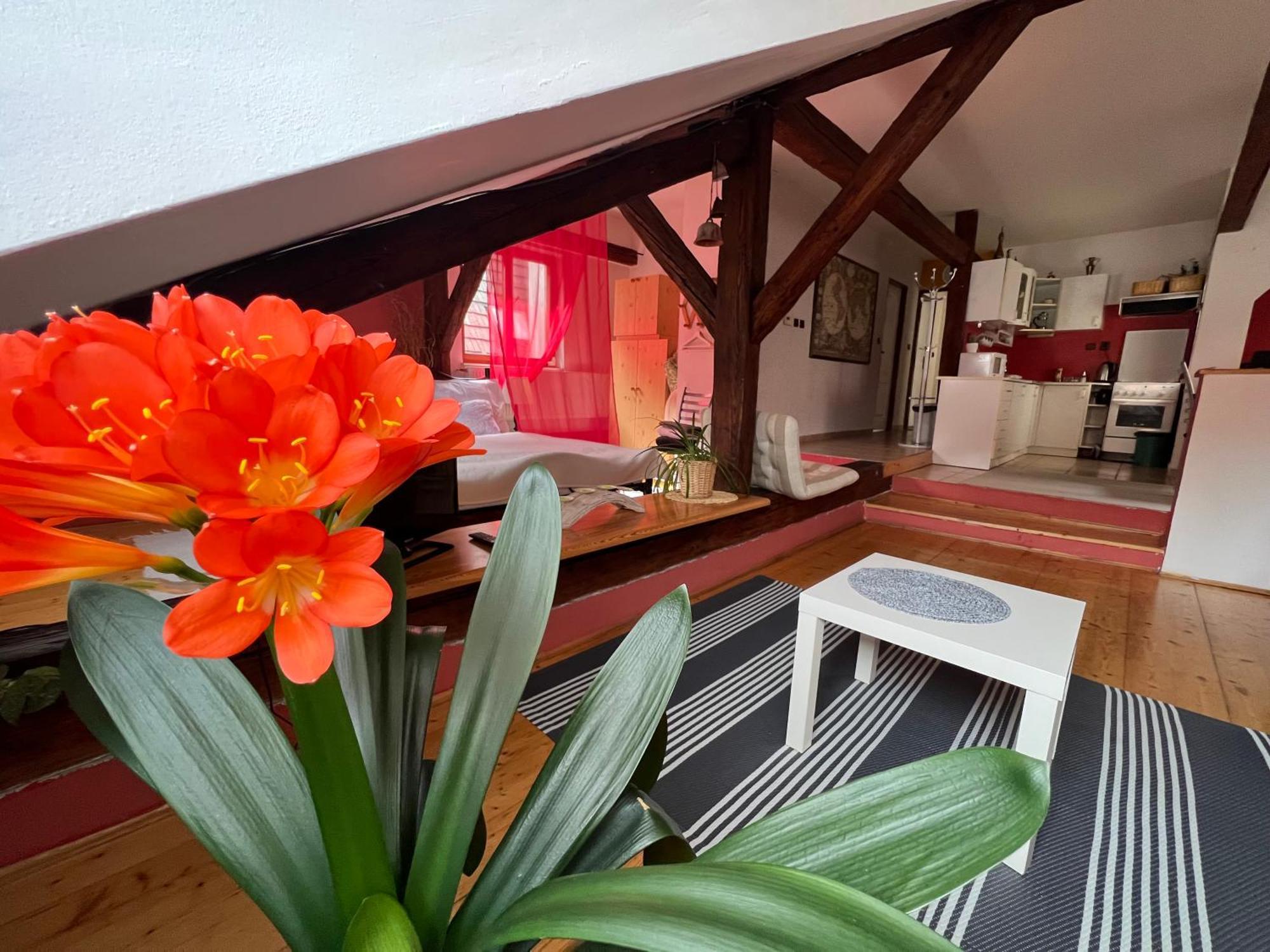 Apartman Galant Apartment Cesky Krumlov Ngoại thất bức ảnh